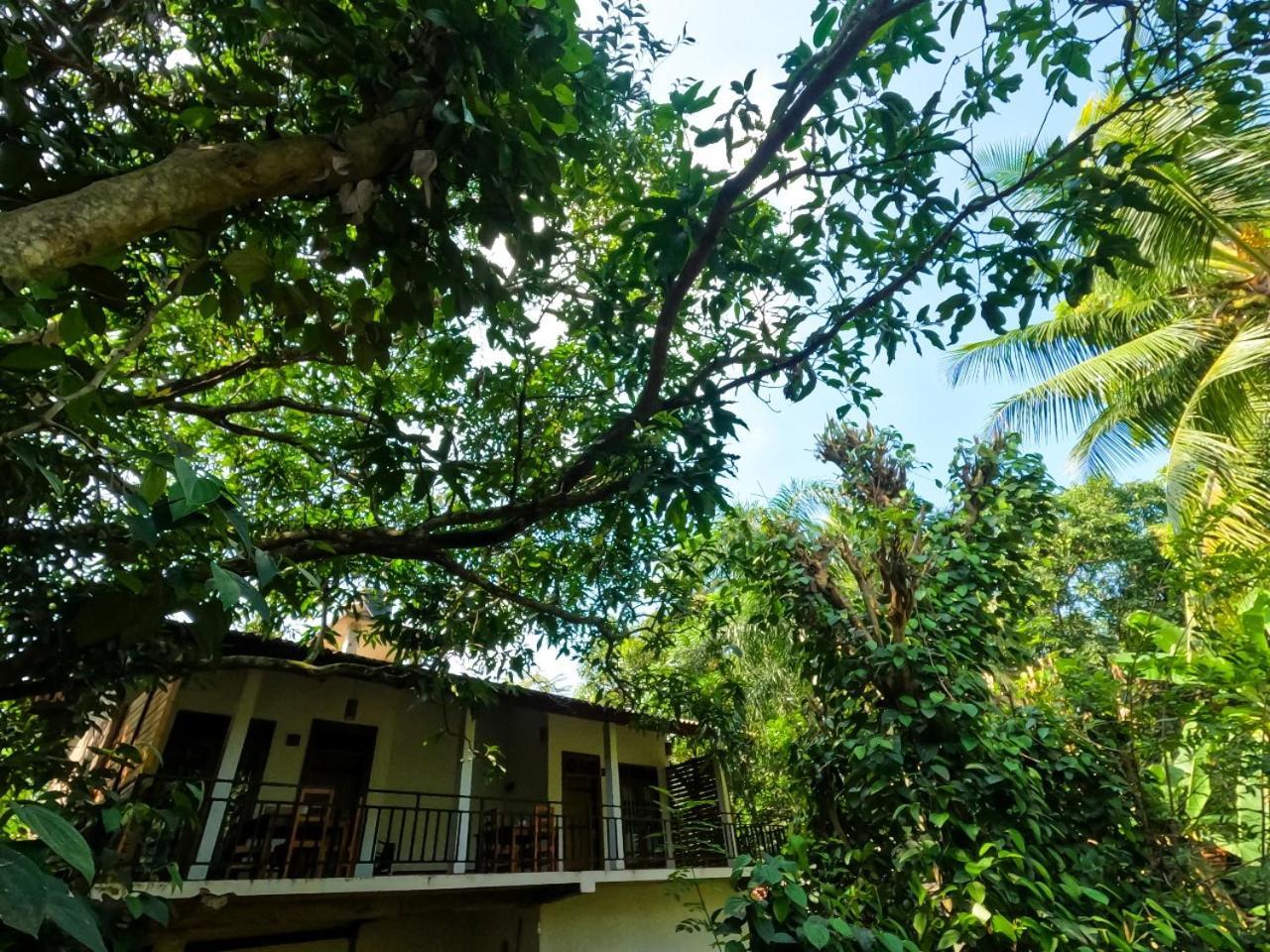 Wild Heaven Udawalawe Hotel Exterior photo