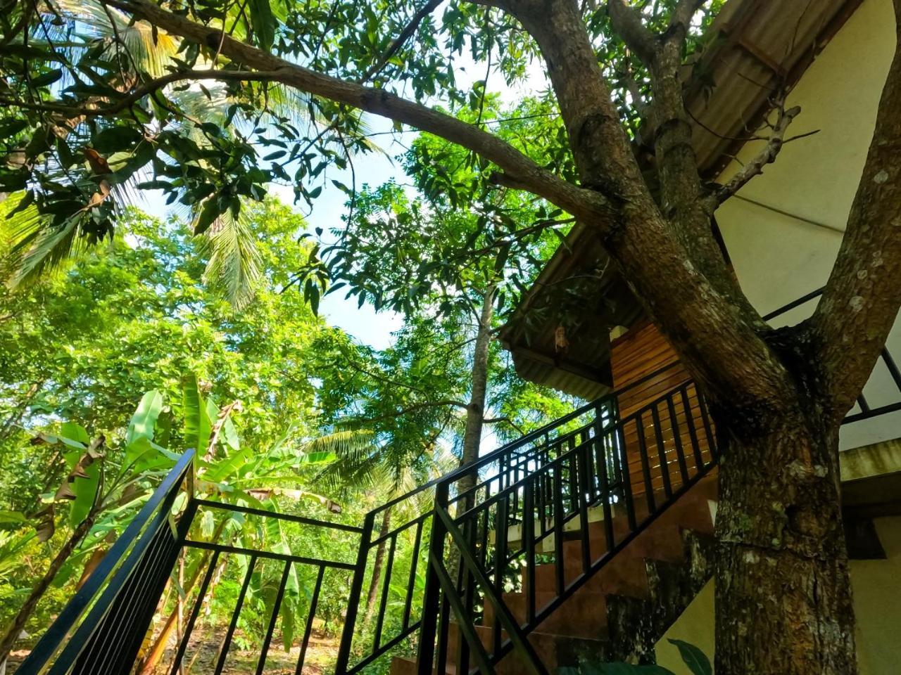 Wild Heaven Udawalawe Hotel Exterior photo