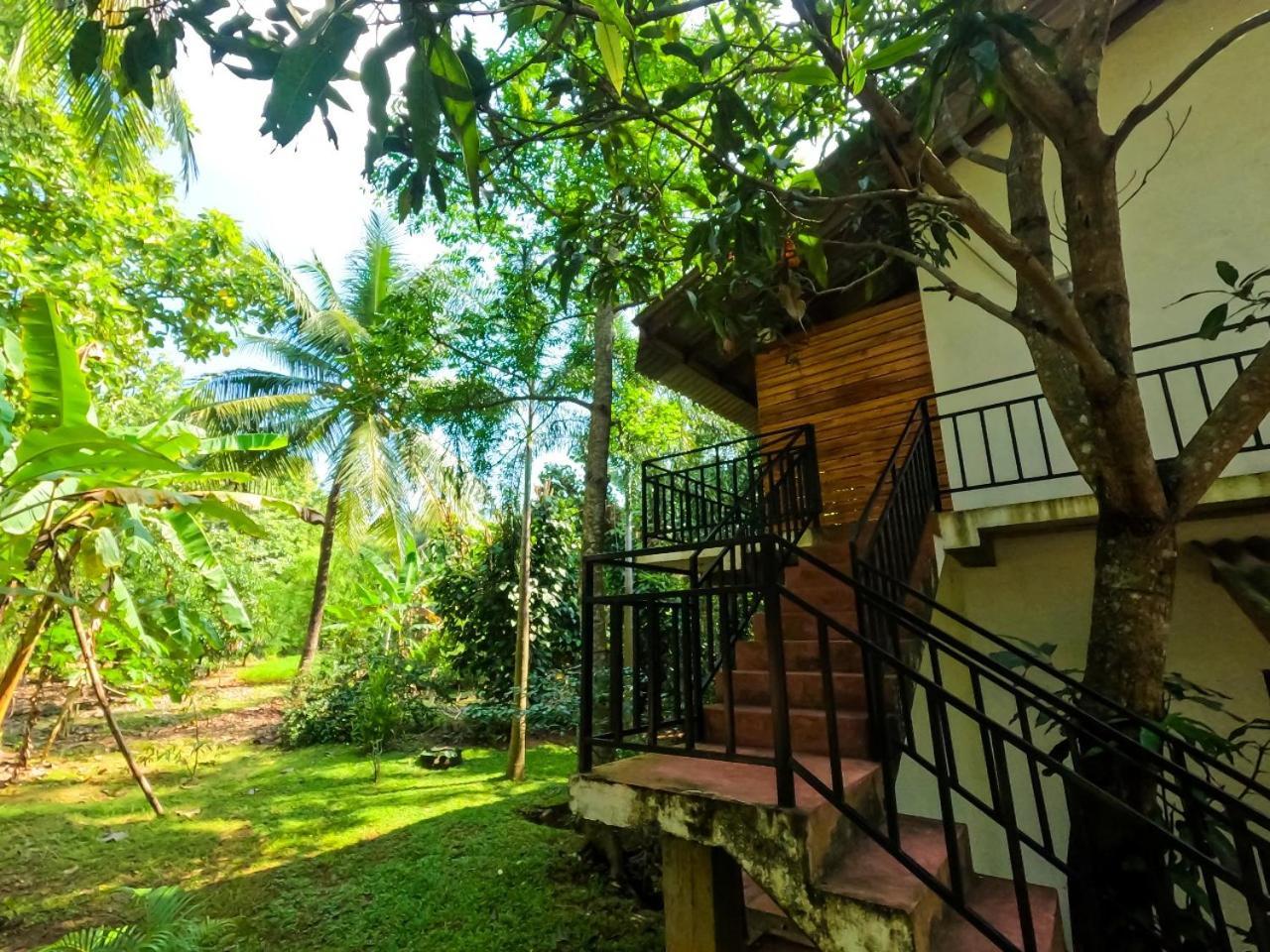 Wild Heaven Udawalawe Hotel Exterior photo