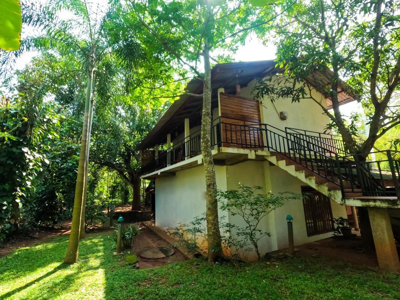 Wild Heaven Udawalawe Hotel Exterior photo